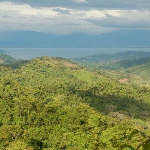 FIVE NATIONAL PARKS AND REFUGES ON THE NICOYA PENINSULA THAT ARE CLOSE TO PLAYA GRANDE