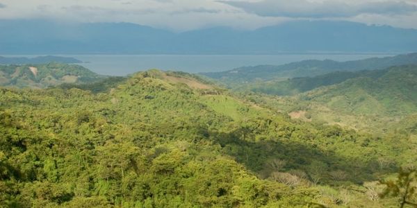 FIVE NATIONAL PARKS AND REFUGES ON THE NICOYA &hellip;