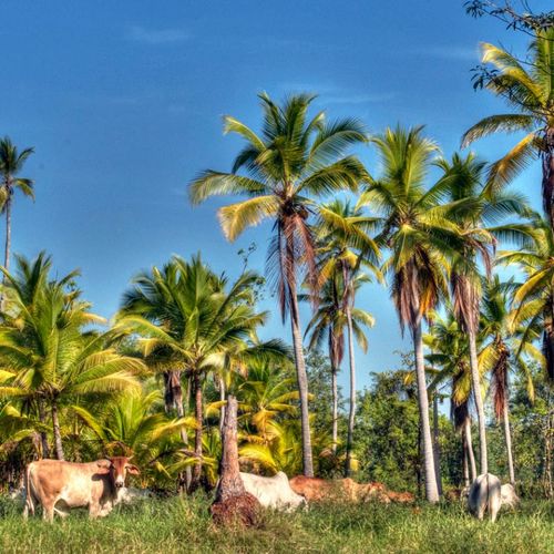 5 REASONS WHY YOU SHOULD EXPLORE THE NICOYA PENINSULA