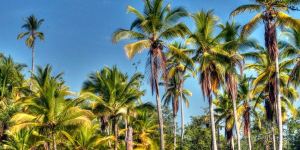 5 REASONS WHY YOU SHOULD EXPLORE THE NICOYA &hellip;