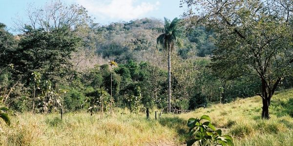 THE DIFFERENCE BETWEEN EL NIÑO AND LA NIÑA, &hellip;