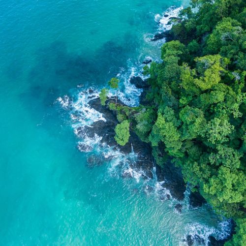 WHAT YOU CAN LEARN BY LIVING IN COSTA RICA