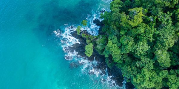 WHAT YOU CAN LEARN BY LIVING IN COSTA …