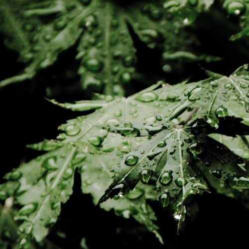 THE REAL DANGERS OF RAINY SEASON IN COSTA RICA