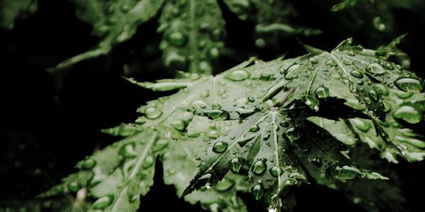 THE REAL DANGERS OF RAINY SEASON IN COSTA &hellip;