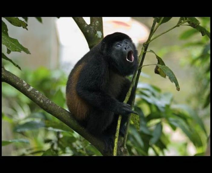 c54033c3-e289-4022-9af2-9804120780fd