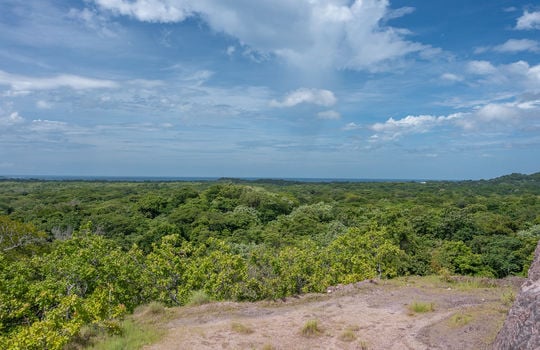 DJI_0911