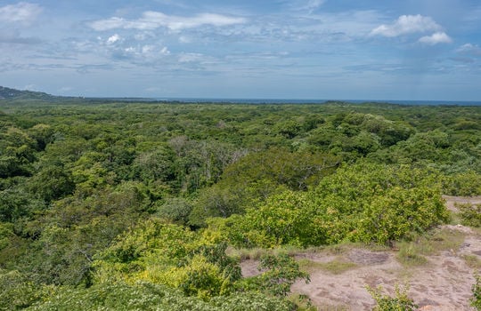 DJI_0912