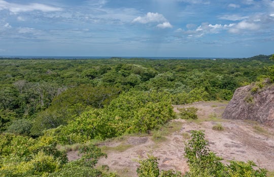 DJI_0913