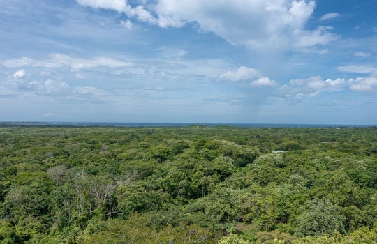 DJI_0915