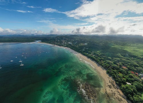 Playa Tamarindo / Langosta
