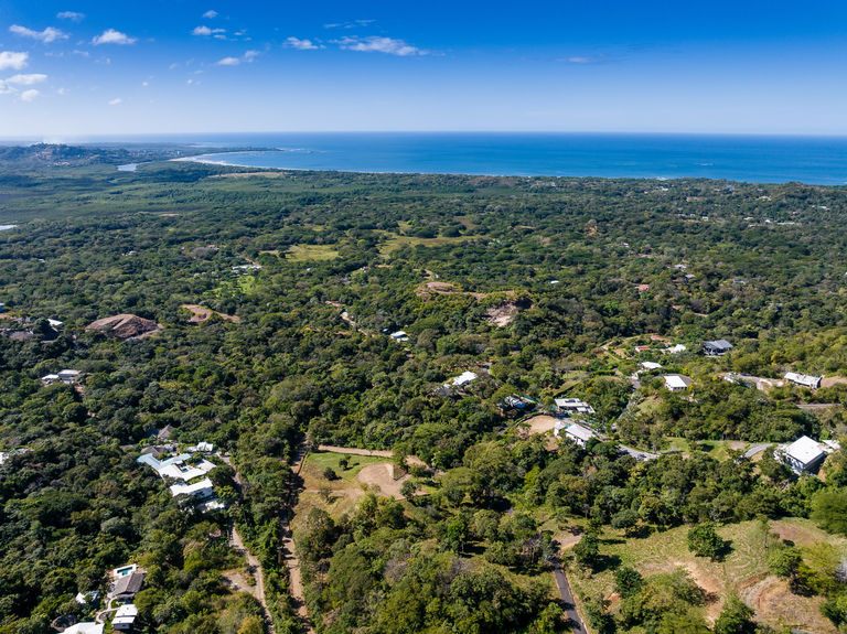 (c) bidrop.com-2024-12-19-083754 - (01)