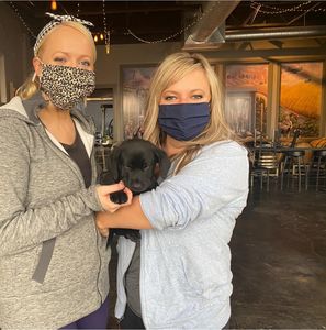 puppy-yoga-1014&#215;1024