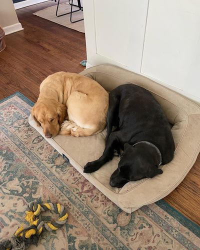 363977483_6215324761923124_8931266199362229232_n