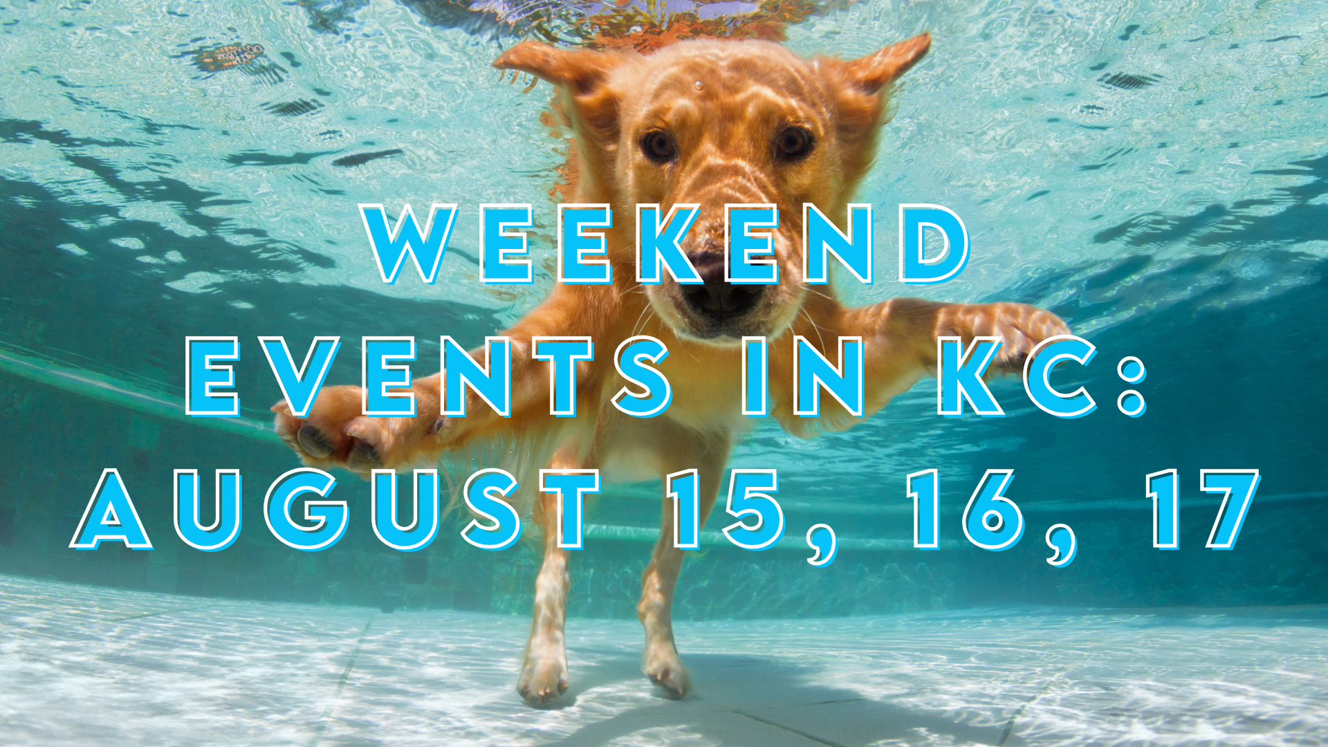 august 15 linkedin image blog 2025