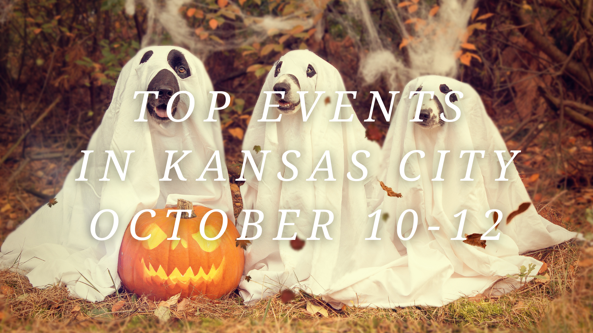 october 10 linkedin