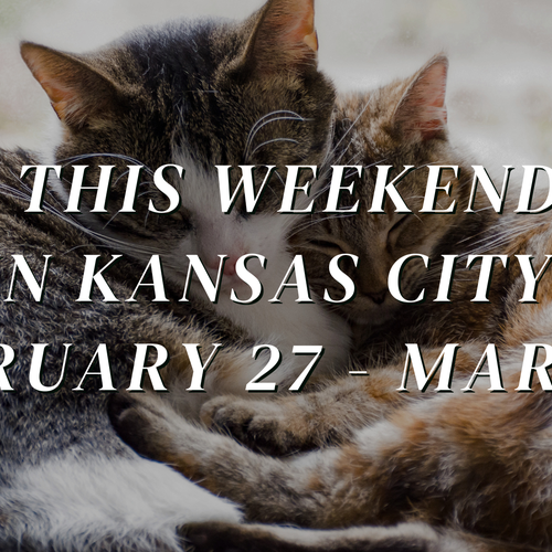 Top Family Events in Kansas City this Weekend: February 27 - March 1, 2026