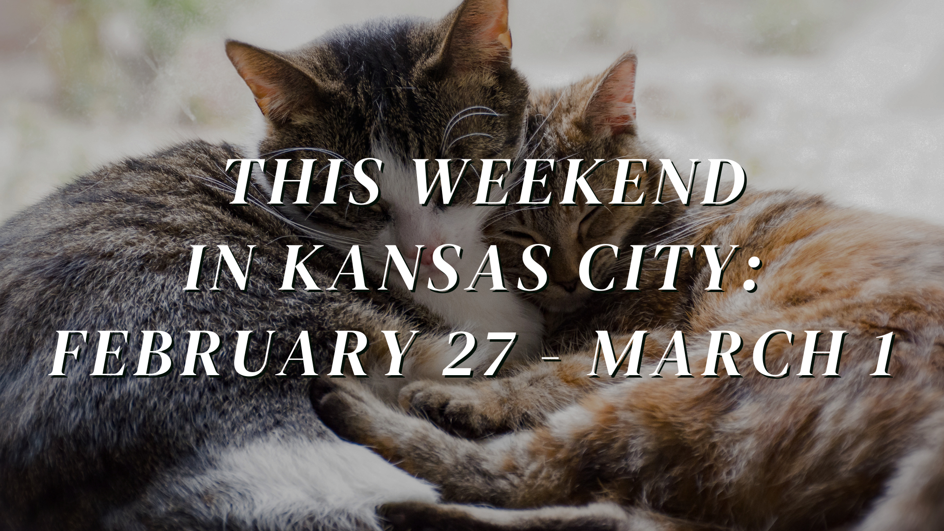 weekend feb 27 linkedin