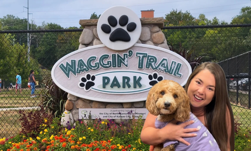Our TOP 5 FAVORITE DOG PARKS to Explore in Kansas &hellip;