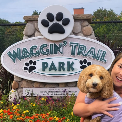 Our TOP 5 FAVORITE DOG PARKS to Explore in Kansas City this Summer
