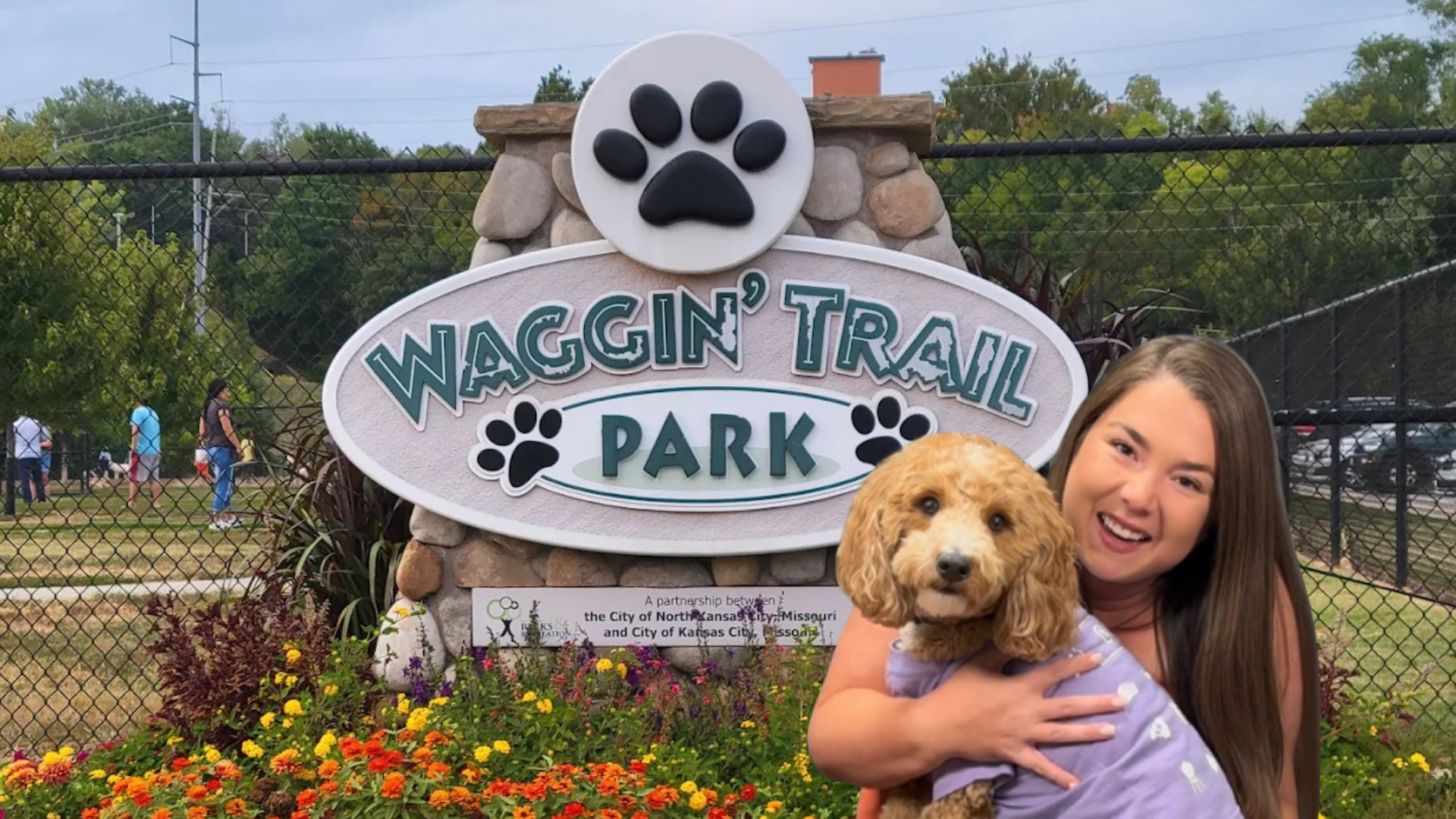top 5 dog parks