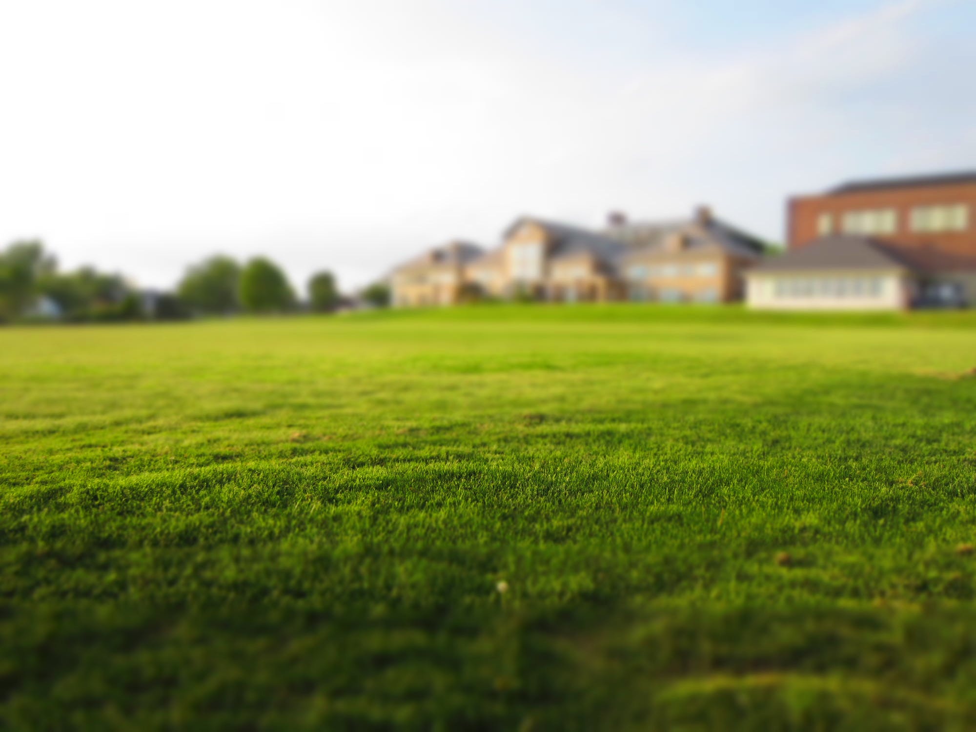 lawn, homes, neighborhood, real estate