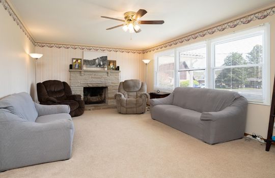 living room, fireplace, carpet, windows
