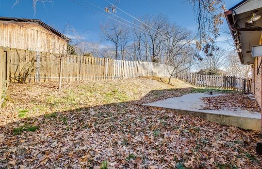 back yard, leaves, fence, trees