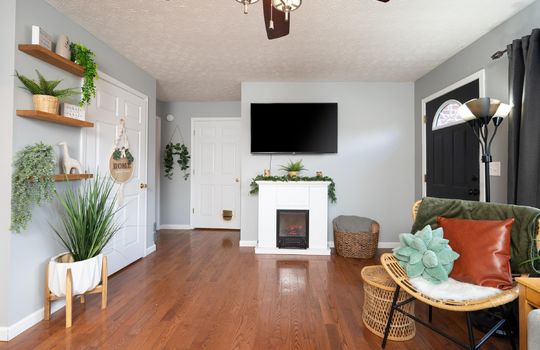 fireplace, hardwood, living room, family room