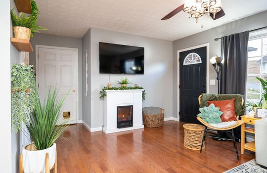 fireplace, front door, living space