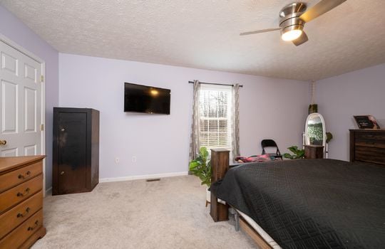 bedroom, bed, tv, fan