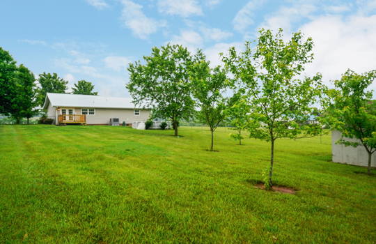 tree line, house, for sale