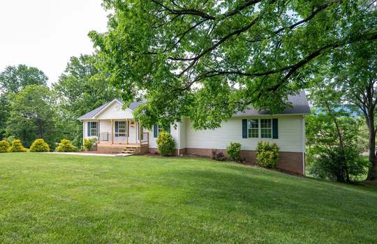tree, grass, house, for sale