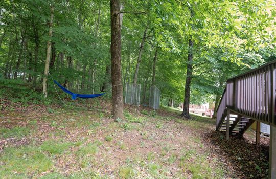 yard, hammock, trees, lawn