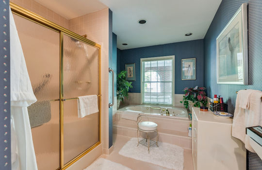 bathroom, walk-in shower, jetted tub