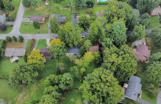 aerial, view, houses, trees
