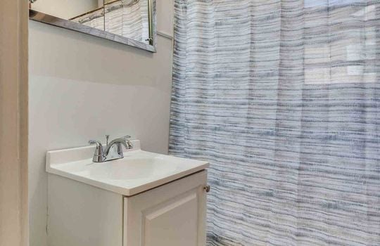 Bathroom Vanity, Sink, Shower Curtain