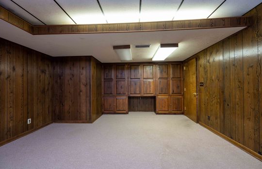 Built-in Cabinets/Storage, Carpet, Paneling Walls