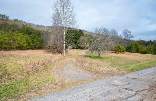 Land for Sale, Trees, Driveway
