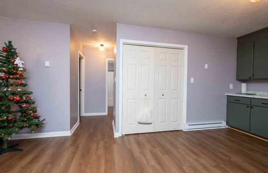 134 Monterey, living room, closet, lvt flooring