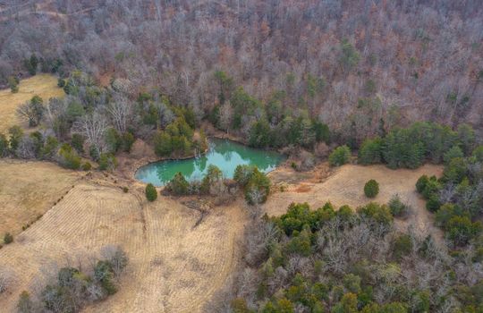 Aerial View, pond at back of property, mountain