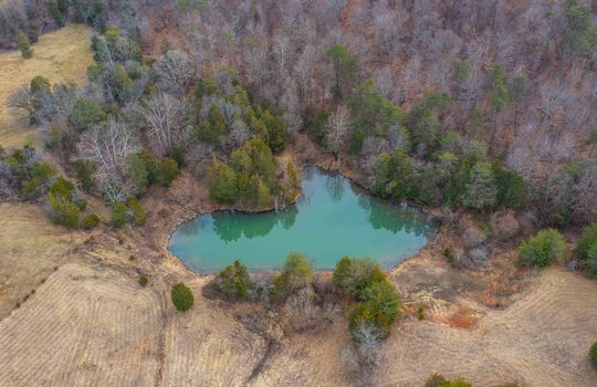 Aerial View of pond at back of property