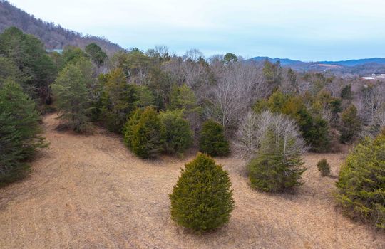 Land, For Sale, Trees, Mountains