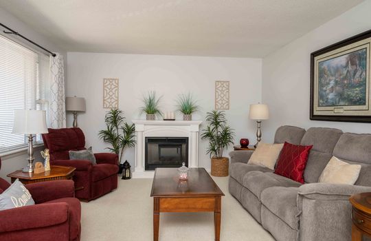 living room, fireplace, carpet, window