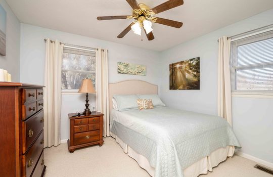bedroom, window, carpet, ceiling fan