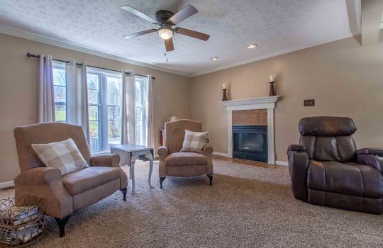 living room, ceiling fan, carpet, fireplace