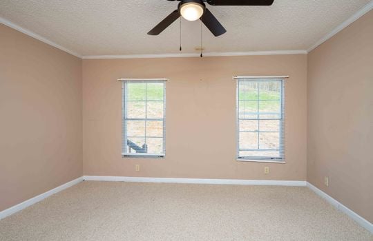 primary bedroom, carpet, windows, ceiling fan