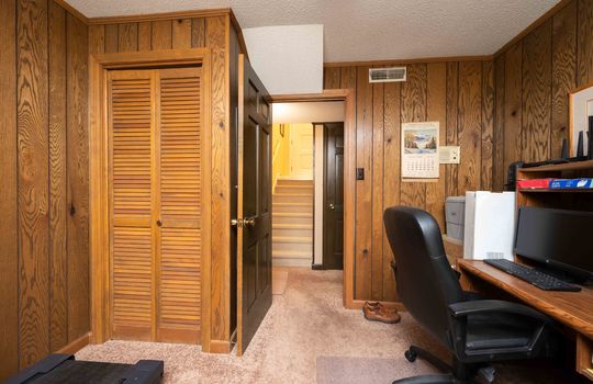 lower level bonus room with closet, paneling walls, carpet