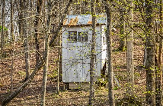 hunting blind, trees