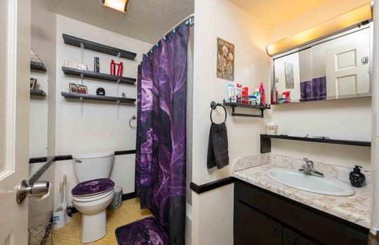 bathroom, toilet, shower/tub, sink, vanity